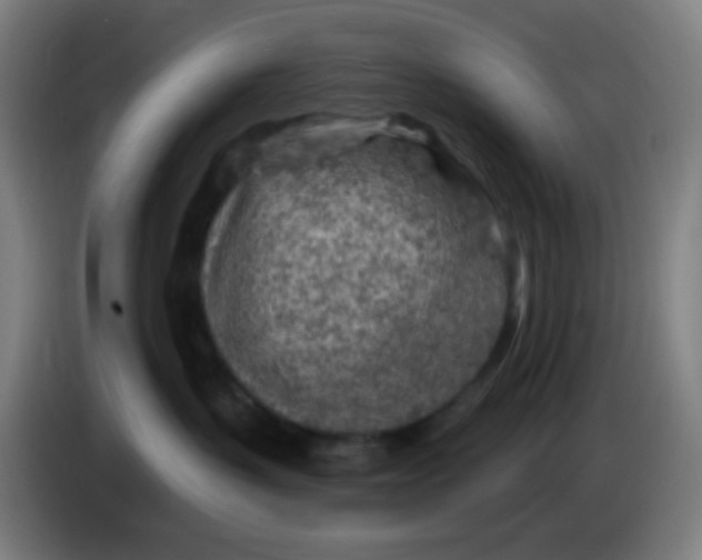 X0000085240383200703301753