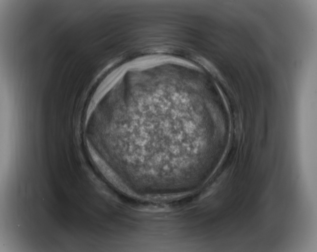 X0000085240386200703301752