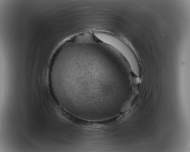 X0000085240387200703301752