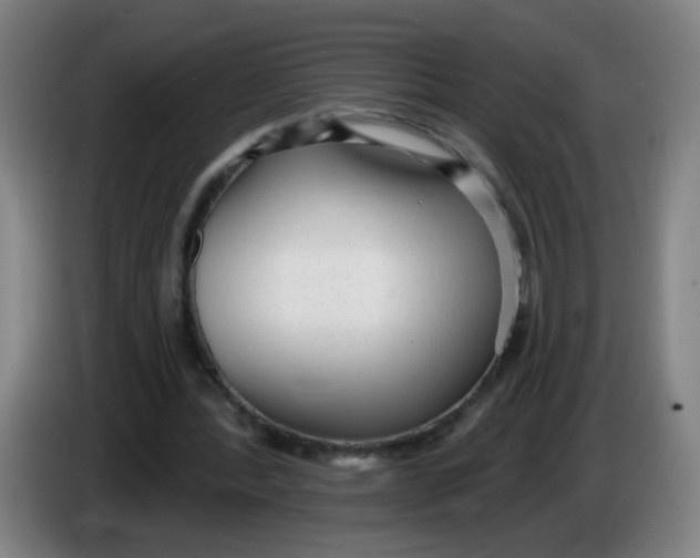 X0000085240388200703301752