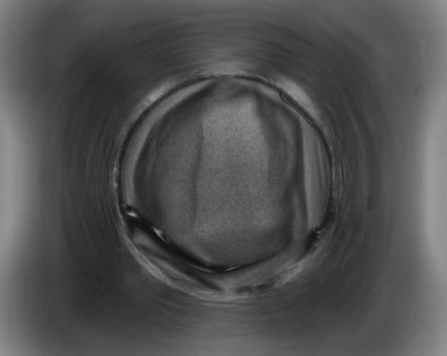 X0000085240389200703301752