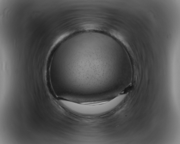X0000085240391200703301752