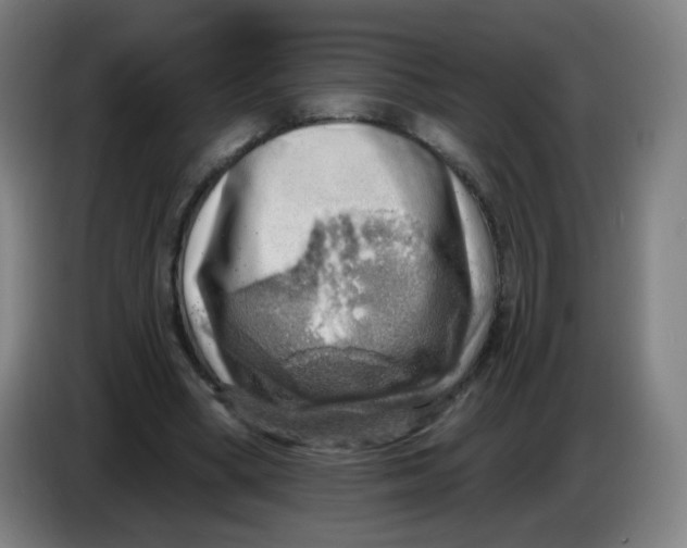 X0000085240394200703301752