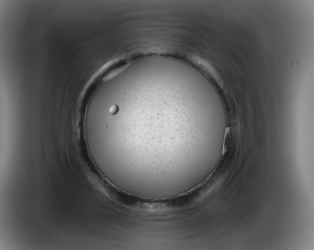 X0000085240395200703301752