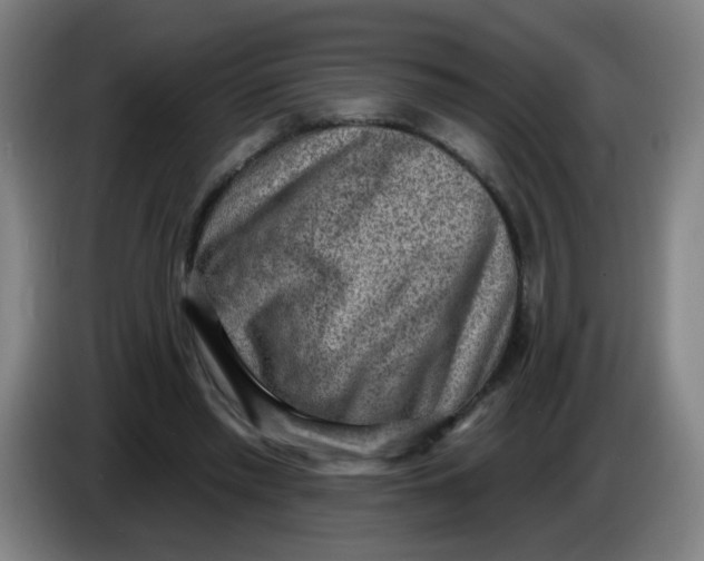 X0000085240397200703301752