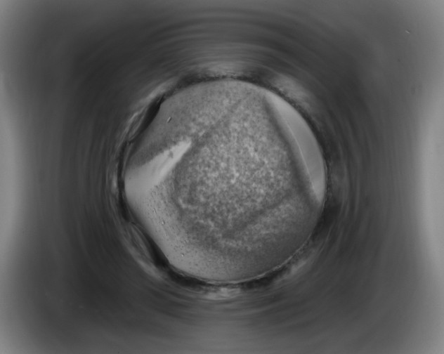 X0000085240398200703301752