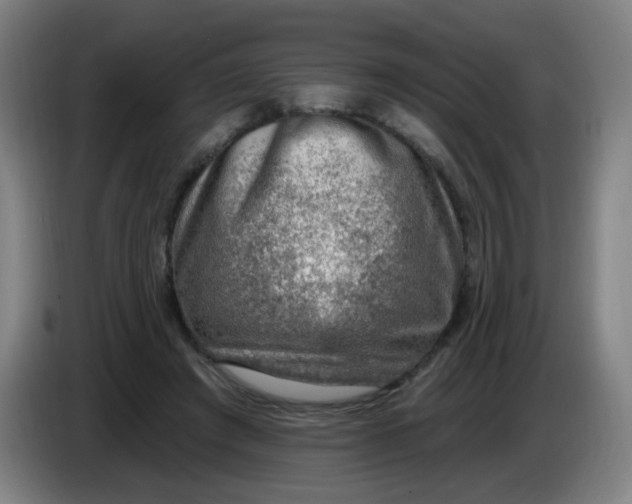 X0000085240401200703301752