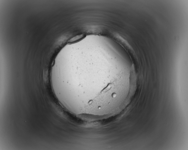 X0000085240403200703301752