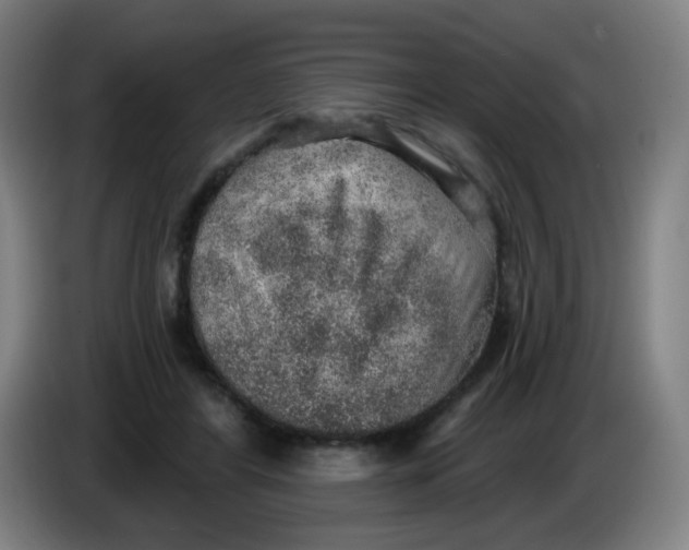 X0000085240404200703301752