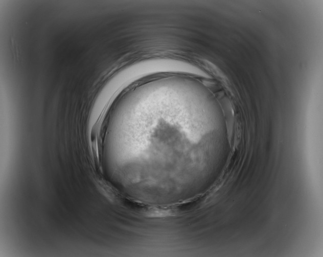 X0000085240405200703301752