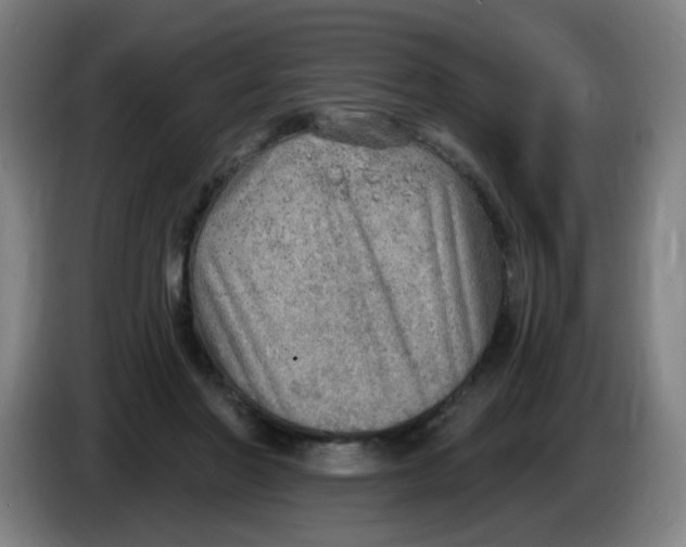 X0000085240406200703301752