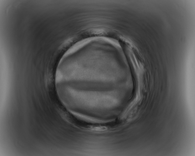 X0000085240407200703301752