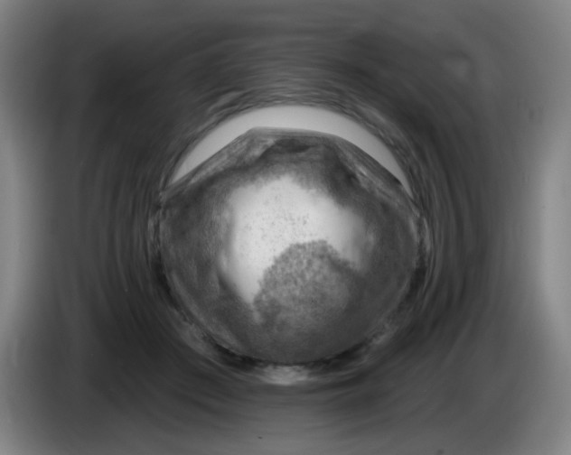 X0000085240409200703301752