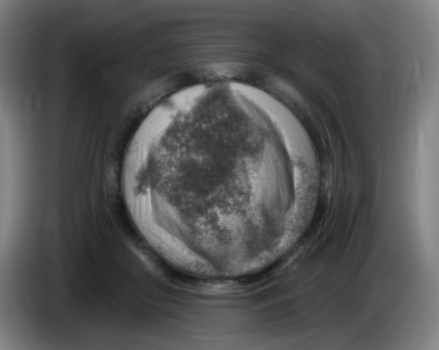 X0000085240410200703301752