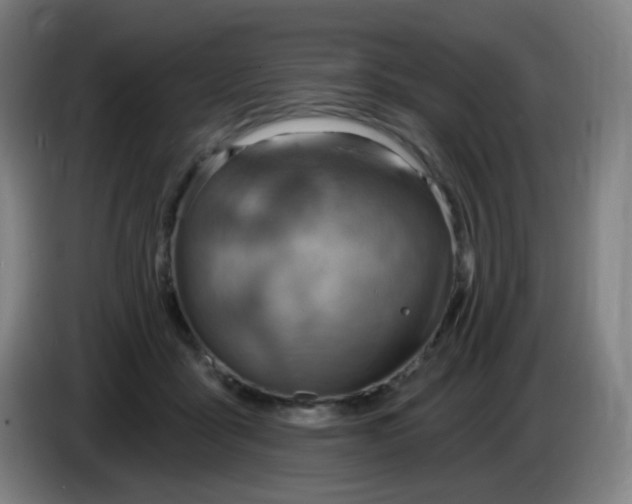 X0000085240411200703301752