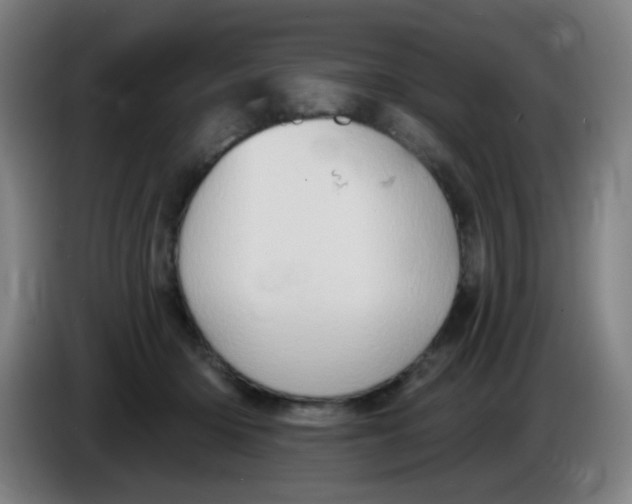 X0000085240414200703301752