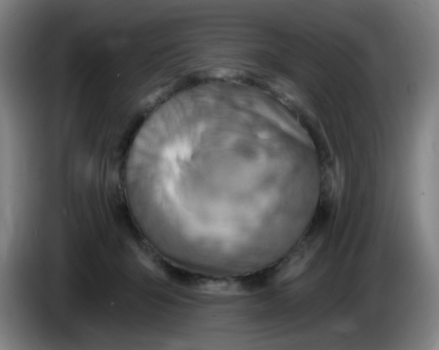 X0000085240415200703301752
