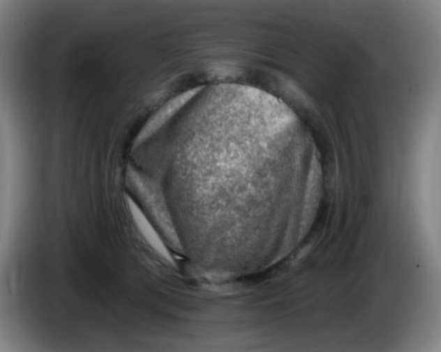 X0000085240417200703301752