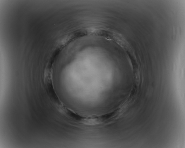 X0000085240419200703301752