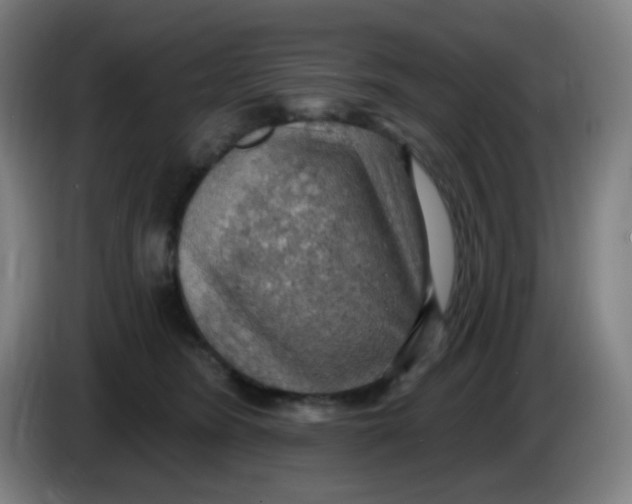 X0000085240420200703301752