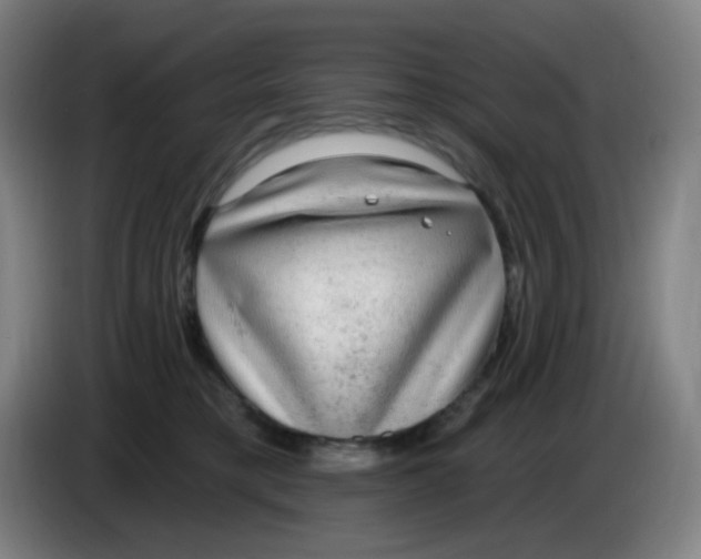 X0000085240421200703301752