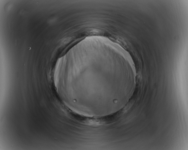 X0000085240423200703301752