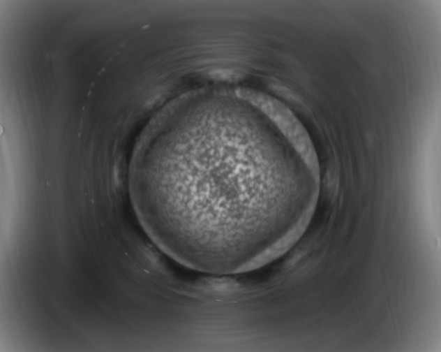 X0000085240424200703301752