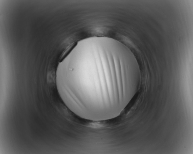 X0000085240425200703301752