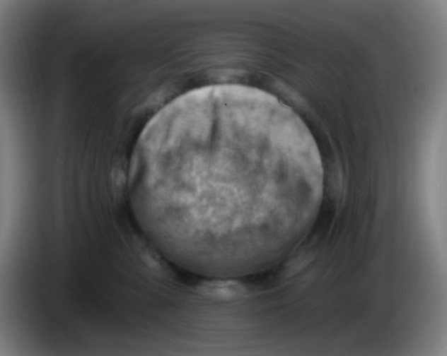 X0000085240427200703301752