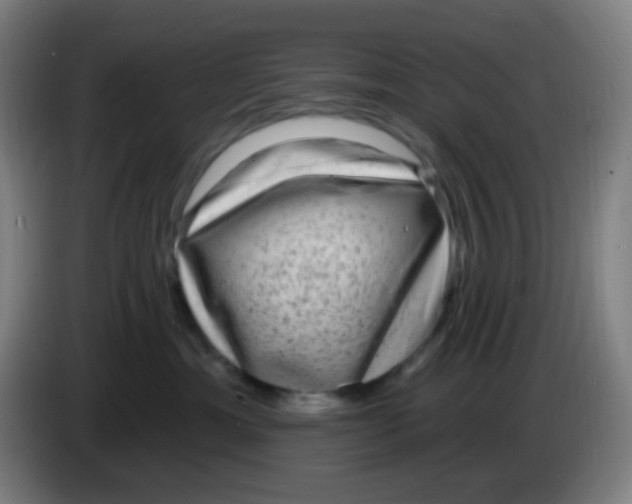 X0000085240429200703301751
