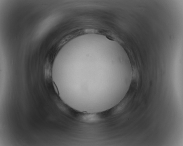X0000085240431200703301751