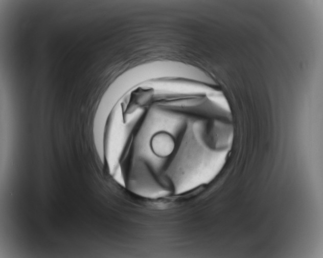 X0000085240432200703301751