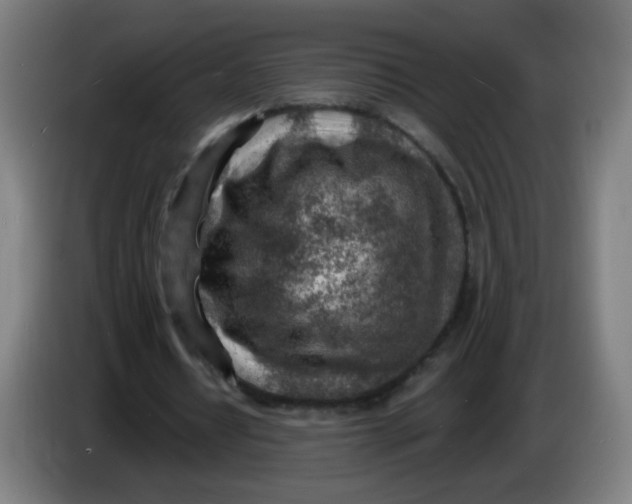 X0000085240434200703301751