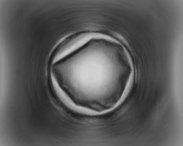 X0000085240435200703301751