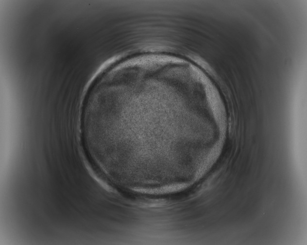 X0000085240438200703301751