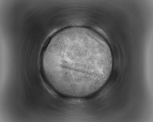 X0000085240439200703301751