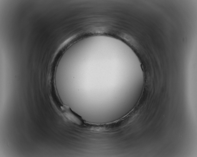 X0000085240440200703301751