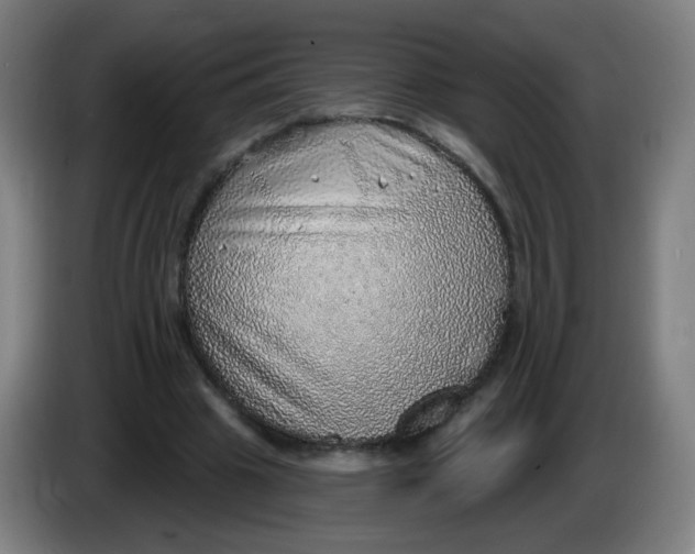 X0000085240441200703301751