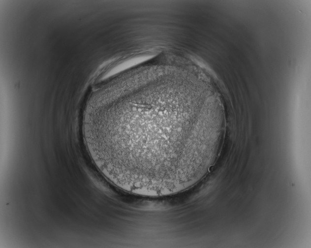 X0000085240442200703301751