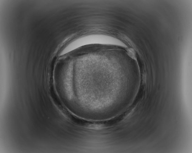 X0000085240444200703301751