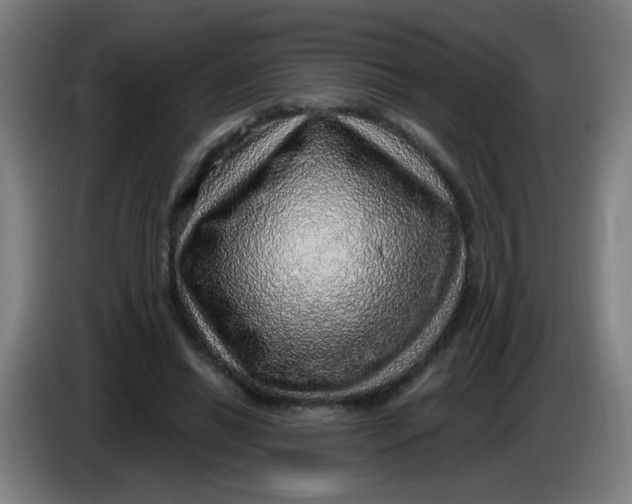 X0000085240446200703301751