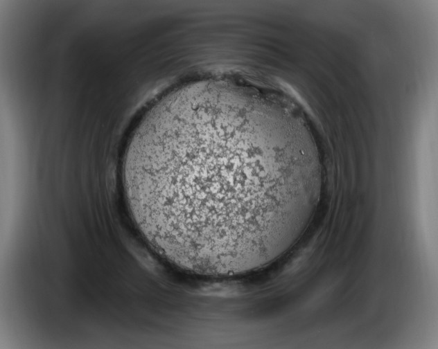 X0000085240447200703301751