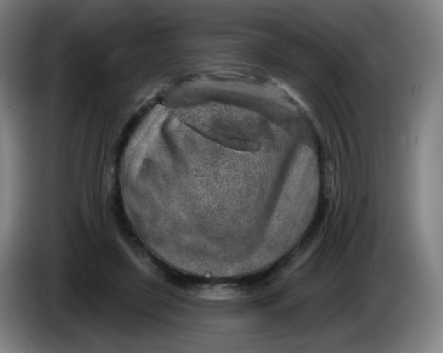 X0000085240451200703301751