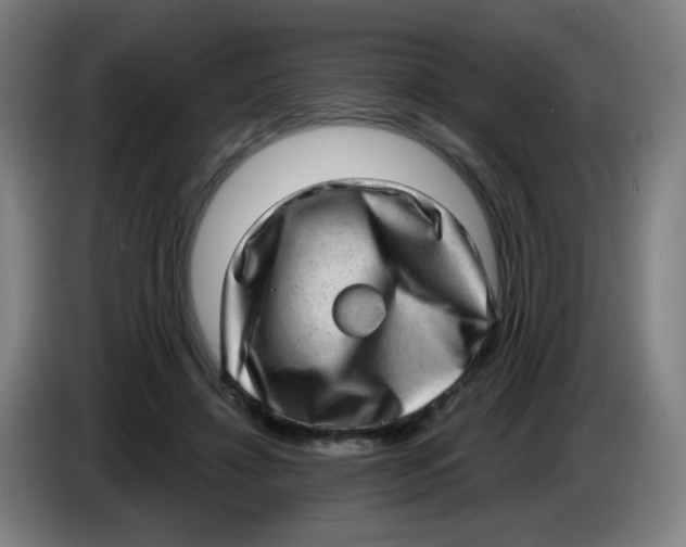 X0000085240452200703301751