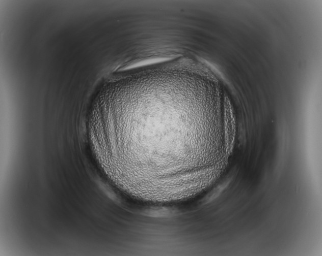 X0000085240453200703301751