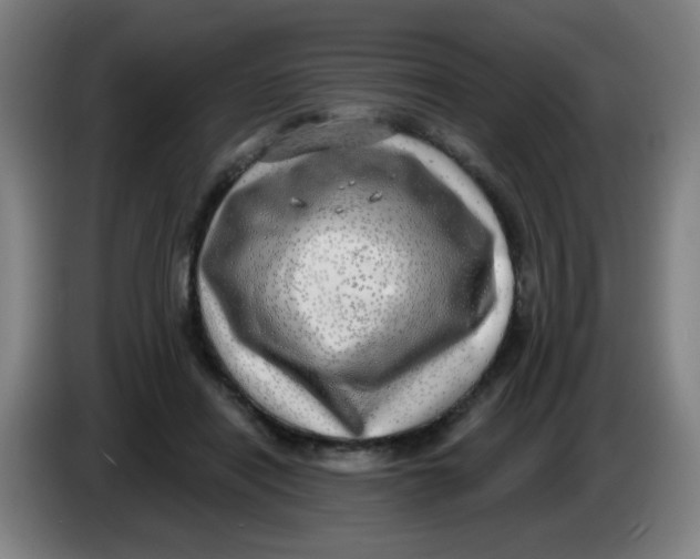 X0000085240454200703301751