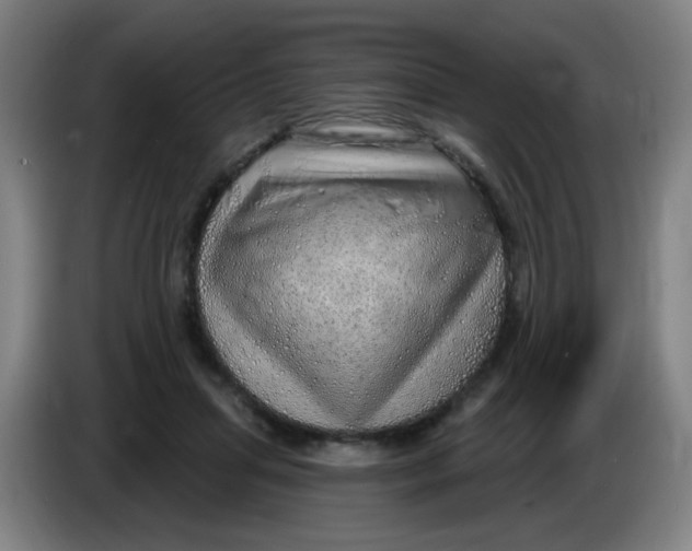X0000085240455200703301751