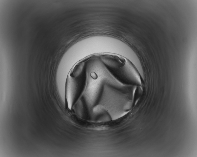 X0000085240456200703301751