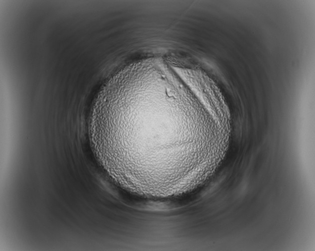 X0000085240457200703301751