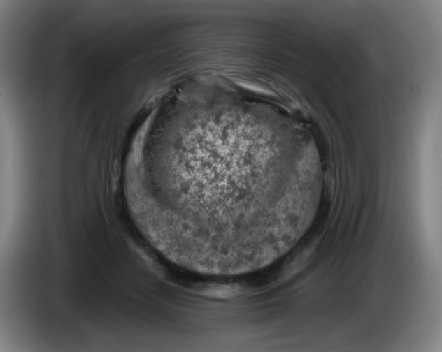 X0000085240458200703301751